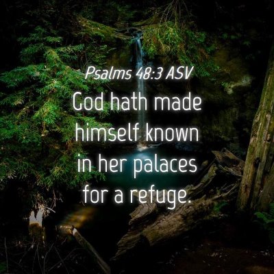 Picture 04 - Psalms 48:3 ASV - God hath made himself known in her palaces for a - Bible Verse Picture