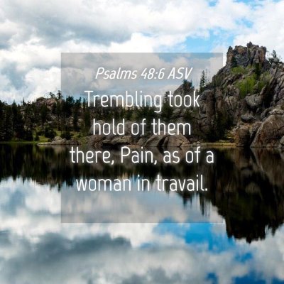 Picture 04 - Psalms 48:6 ASV - Trembling took hold of them there, Pain, as of a - Bible Verse Picture