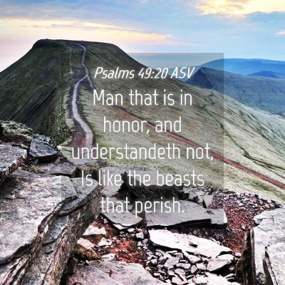 Picture 04 - Psalms 49:20 ASV - Man that is in honor, and understandeth not, Is - Bible Verse Picture