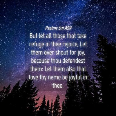 Picture 04 - Psalms 5:11 ASV - But let all those that take refuge in thee - Bible Verse Picture