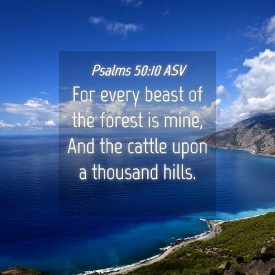 Picture 04 - Psalms 50:10 ASV - For every beast of the forest is mine, And the - Bible Verse Picture