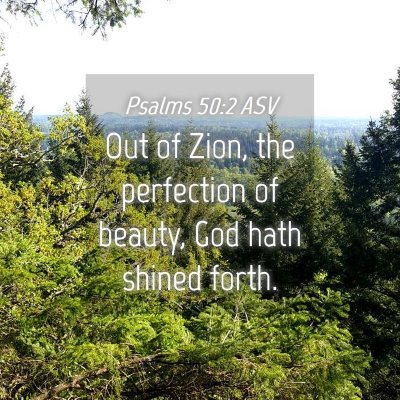 Picture 04 - Psalms 50:2 ASV - Out of Zion, the perfection of beauty, God hath - Bible Verse Picture