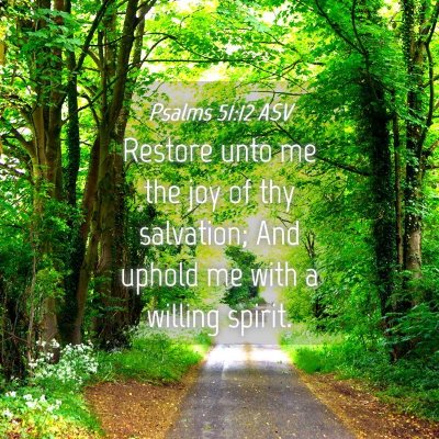 Picture 04 - Psalms 51:12 ASV - Restore unto me the joy of thy salvation; And - Bible Verse Picture