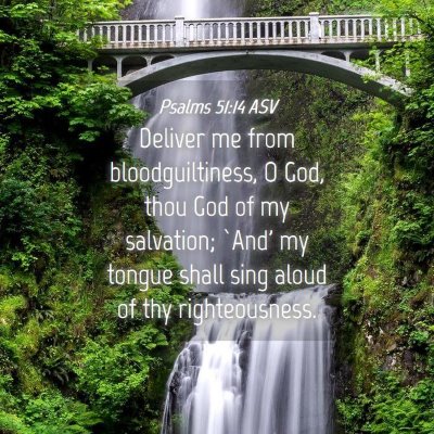 Picture 04 - Psalms 51:14 ASV - Deliver me from bloodguiltiness, O God, thou God - Bible Verse Picture