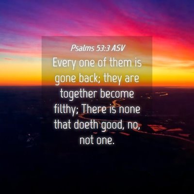 Picture 04 - Psalms 53:3 ASV - Every one of them is gone back; they are together - Bible Verse Picture