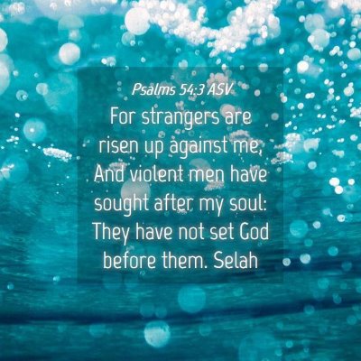 Picture 04 - Psalms 54:3 ASV - For strangers are risen up against me, And - Bible Verse Picture