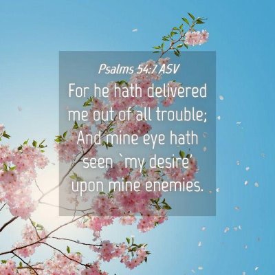 Picture 04 - Psalms 54:7 ASV - For he hath delivered me out of all trouble; And - Bible Verse Picture