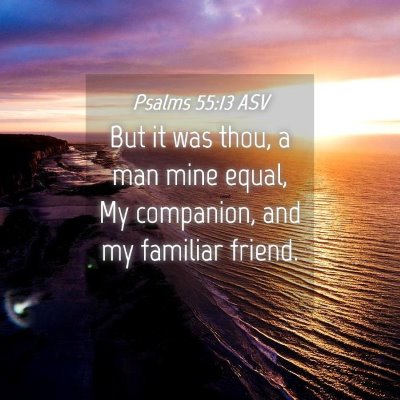 Picture 04 - Psalms 55:13 ASV - But it was thou, a man mine equal, My companion, - Bible Verse Picture