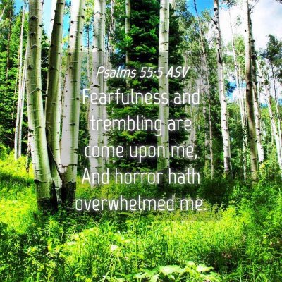 Picture 04 - Psalms 55:5 ASV - Fearfulness and trembling are come upon me, And - Bible Verse Picture