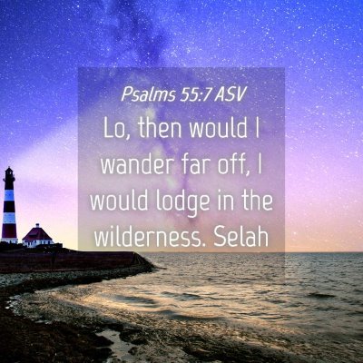 Picture 04 - Psalms 55:7 ASV - Lo, then would I wander far off, I would lodge in - Bible Verse Picture