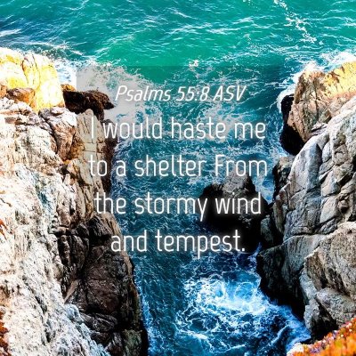 Picture 04 - Psalms 55:8 ASV - I would haste me to a shelter From the stormy - Bible Verse Picture