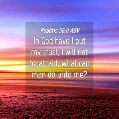 Picture 04 - Psalms 56:11 ASV - In God have I put my trust, I will not be afraid; - Bible Verse Picture