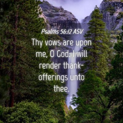 Picture 04 - Psalms 56:12 ASV - Thy vows are upon me, O God: I will render - Bible Verse Picture
