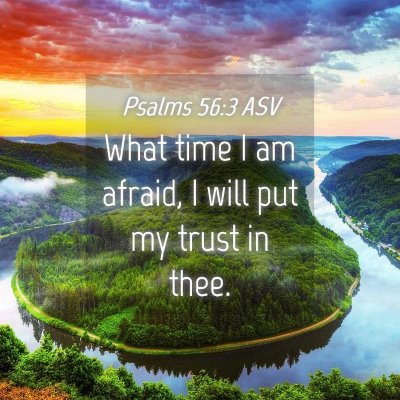 Picture 04 - Psalms 56:3 ASV - What time I am afraid, I will put my trust in - Bible Verse Picture