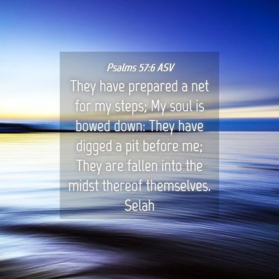 Picture 04 - Psalms 57:6 ASV - They have prepared a net for my steps; My soul is - Bible Verse Picture