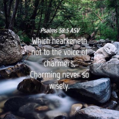 Picture 04 - Psalms 58:5 ASV - Which hearkeneth not to the voice of charmers, - Bible Verse Picture