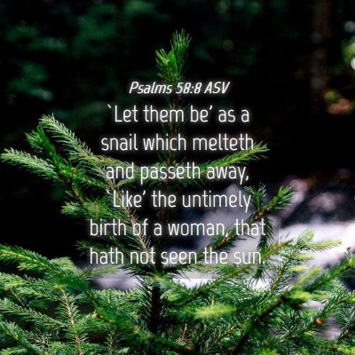 Picture 04 - Psalms 58:8 ASV - `Let them be' as a snail which melteth and - Bible Verse Picture