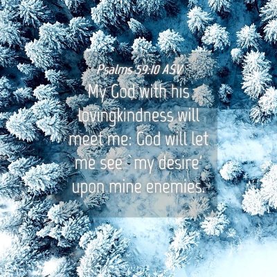Picture 04 - Psalms 59:10 ASV - My God with his lovingkindness will meet me: God - Bible Verse Picture