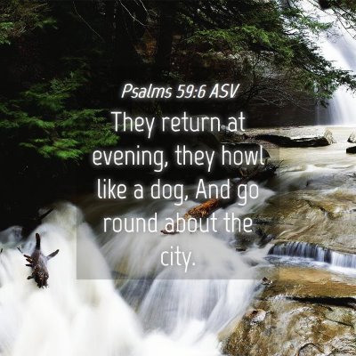 Picture 04 - Psalms 59:6 ASV - They return at evening, they howl like a dog, And - Bible Verse Picture
