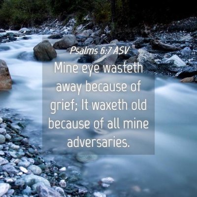 Picture 04 - Psalms 6:7 ASV - Mine eye wasteth away because of grief; It waxeth - Bible Verse Picture