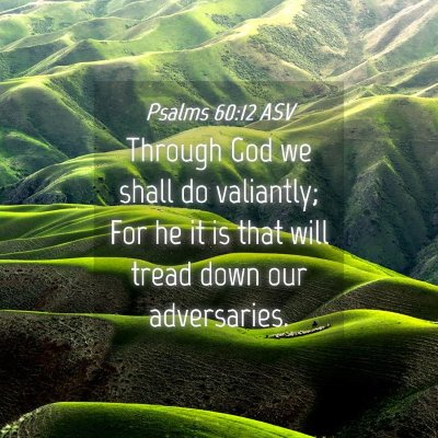 Picture 04 - Psalms 60:12 ASV - Through God we shall do valiantly; For he it is - Bible Verse Picture
