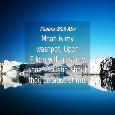 Picture 04 - Psalms 60:8 ASV - Moab is my washpot; Upon Edom will I cast my - Bible Verse Picture