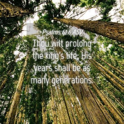 Picture 04 - Psalms 61:6 ASV - Thou wilt prolong the king's life; His years - Bible Verse Picture