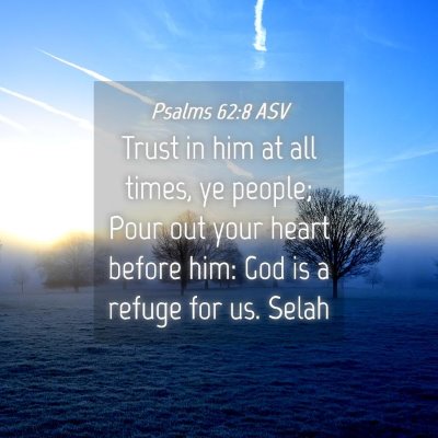 Picture 04 - Psalms 62:8 ASV - Trust in him at all times, ye people; Pour out - Bible Verse Picture