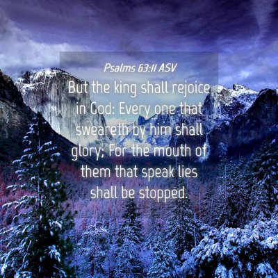 Picture 04 - Psalms 63:11 ASV - But the king shall rejoice in God: Every one that - Bible Verse Picture