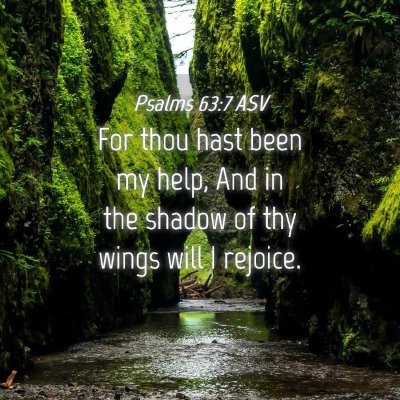 Picture 04 - Psalms 63:7 ASV - For thou hast been my help, And in the shadow of - Bible Verse Picture