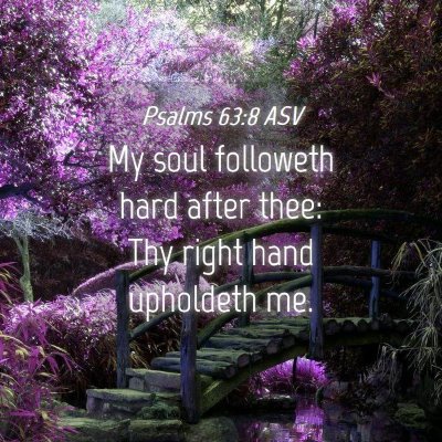 Picture 04 - Psalms 63:8 ASV - My soul followeth hard after thee: Thy right hand - Bible Verse Picture