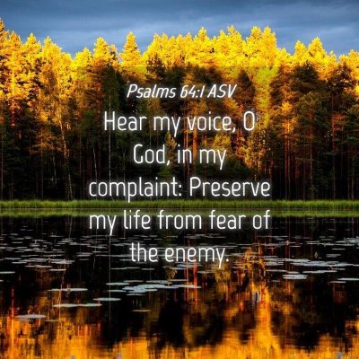 Picture 04 - Psalms 64:1 ASV - Hear my voice, O God, in my complaint: Preserve - Bible Verse Picture