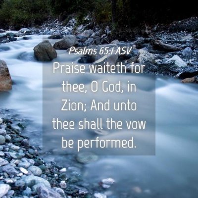 Picture 04 - Psalms 65:1 ASV - Praise waiteth for thee, O God, in Zion; And unto - Bible Verse Picture