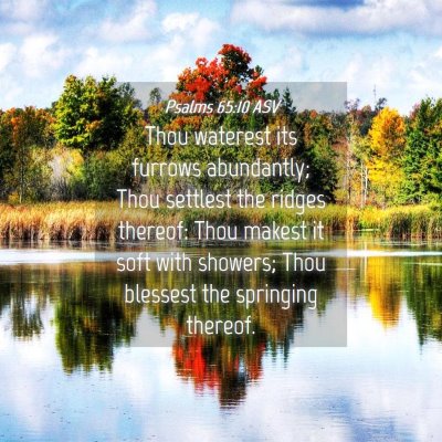 Picture 04 - Psalms 65:10 ASV - Thou waterest its furrows abundantly; Thou - Bible Verse Picture