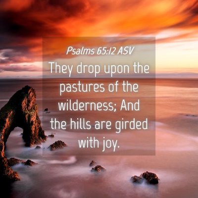 Picture 04 - Psalms 65:12 ASV - They drop upon the pastures of the wilderness; - Bible Verse Picture
