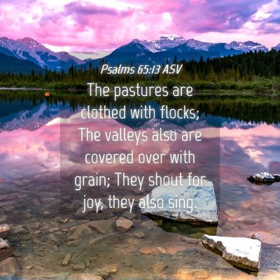 Picture 04 - Psalms 65:13 ASV - The pastures are clothed with flocks; The valleys - Bible Verse Picture