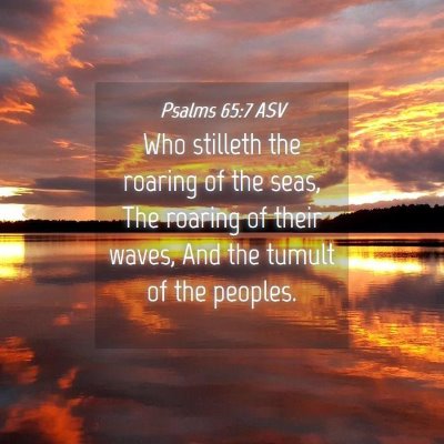 Picture 04 - Psalms 65:7 ASV - Who stilleth the roaring of the seas, The roaring - Bible Verse Picture