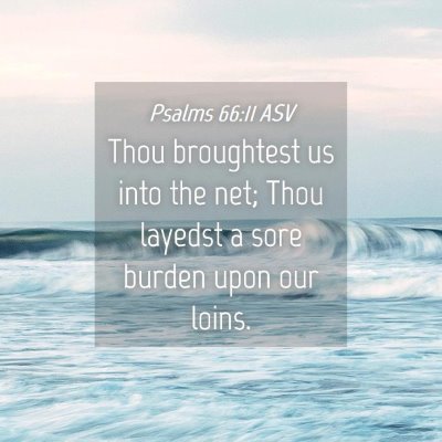 Picture 04 - Psalms 66:11 ASV - Thou broughtest us into the net; Thou layedst a - Bible Verse Picture