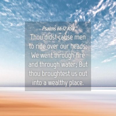 Picture 04 - Psalms 66:12 ASV - Thou didst cause men to ride over our heads; We - Bible Verse Picture