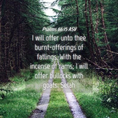 Picture 04 - Psalms 66:15 ASV - I will offer unto thee burnt-offerings of - Bible Verse Picture