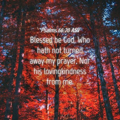 Picture 04 - Psalms 66:20 ASV - Blessed be God, Who hath not turned away my - Bible Verse Picture