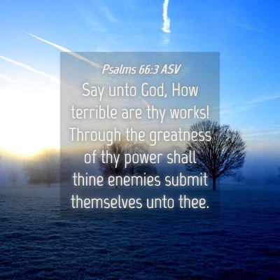 Picture 04 - Psalms 66:3 ASV - Say unto God, How terrible are thy works! Through - Bible Verse Picture
