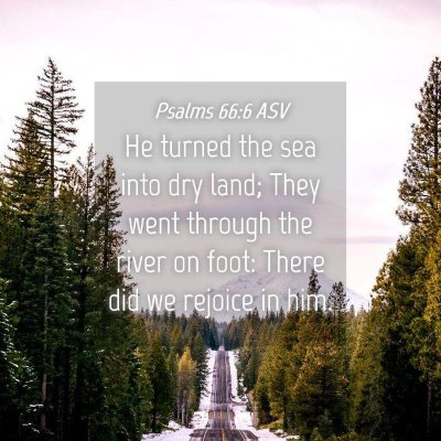Picture 04 - Psalms 66:6 ASV - He turned the sea into dry land; They went - Bible Verse Picture