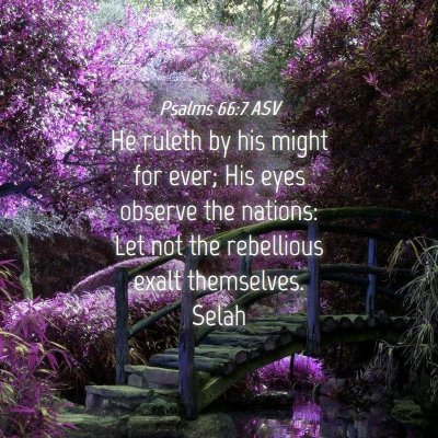 Picture 04 - Psalms 66:7 ASV - He ruleth by his might for ever; His eyes observe - Bible Verse Picture