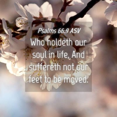 Picture 04 - Psalms 66:9 ASV - Who holdeth our soul in life, And suffereth not - Bible Verse Picture