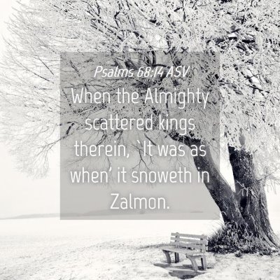 Picture 04 - Psalms 68:14 ASV - When the Almighty scattered kings therein, `It - Bible Verse Picture
