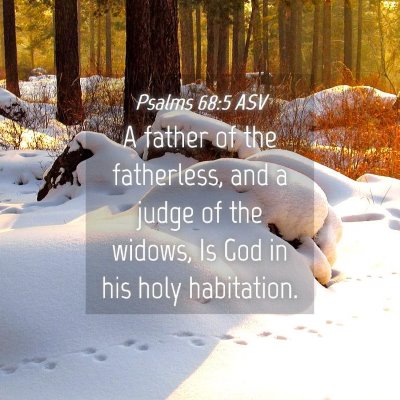 Picture 04 - Psalms 68:5 ASV - A father of the fatherless, and a judge of the - Bible Verse Picture