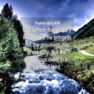 Picture 04 - Psalms 68:6 ASV - God setteth the solitary in families: He bringeth - Bible Verse Picture