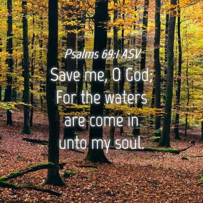 Picture 04 - Psalms 69:1 ASV - Save me, O God; For the waters are come in unto - Bible Verse Picture