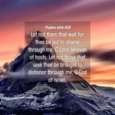 Picture 04 - Psalms 69:6 ASV - Let not them that wait for thee be put to shame - Bible Verse Picture